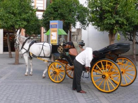 Trail and Train In Seville 